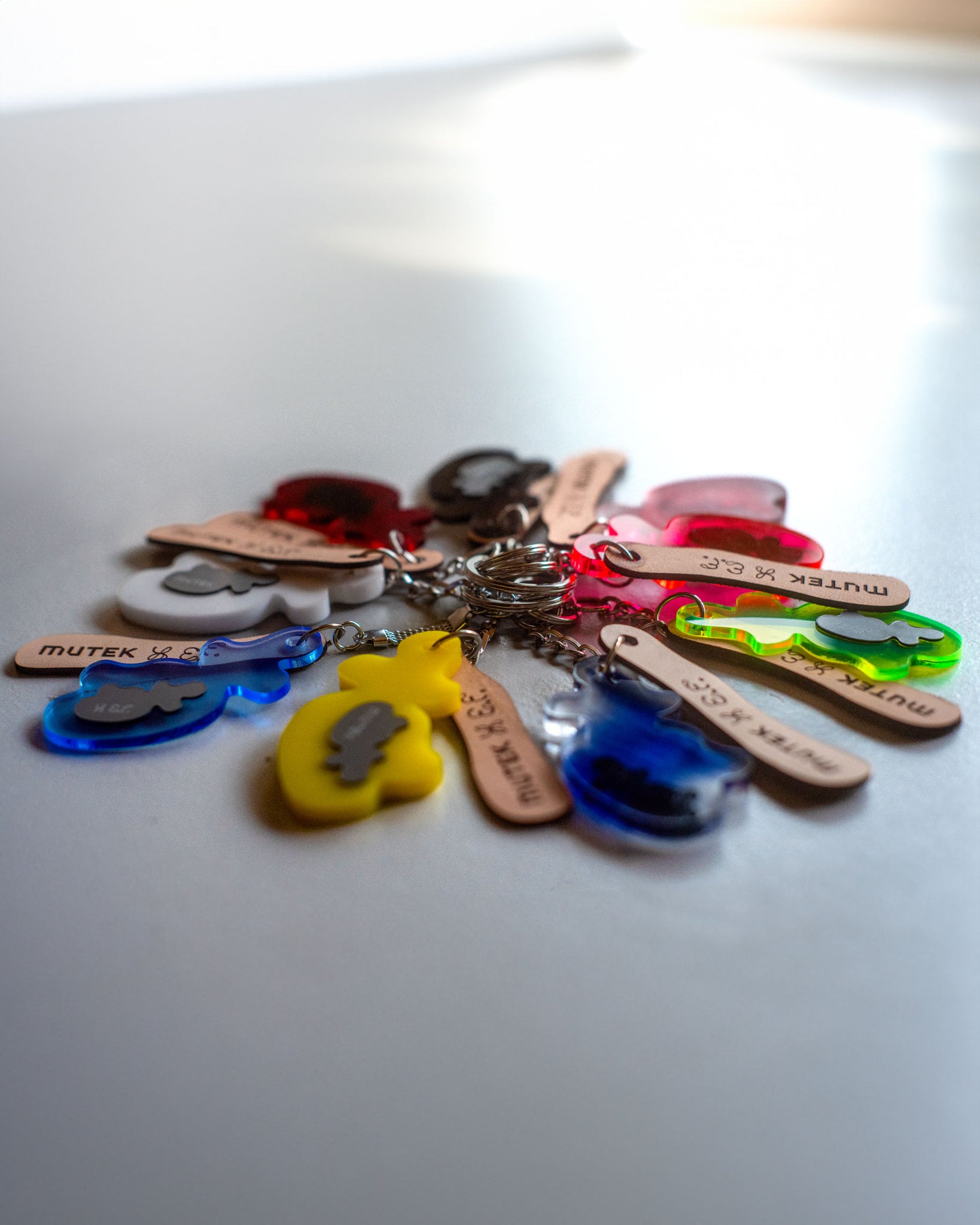 Keychain (Assorted colors) | Emma Forgues